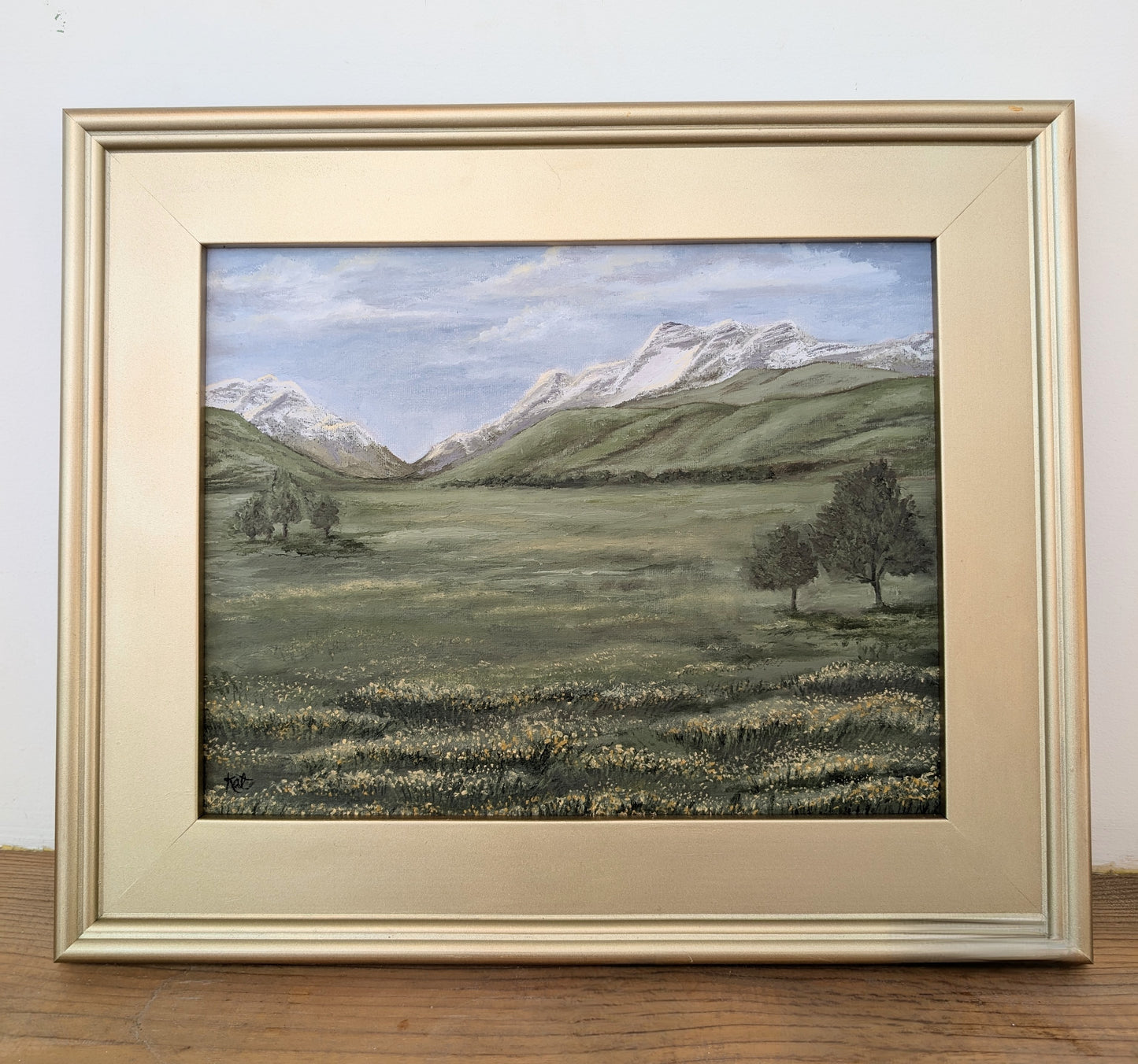 Open Fields Under Timpanogos