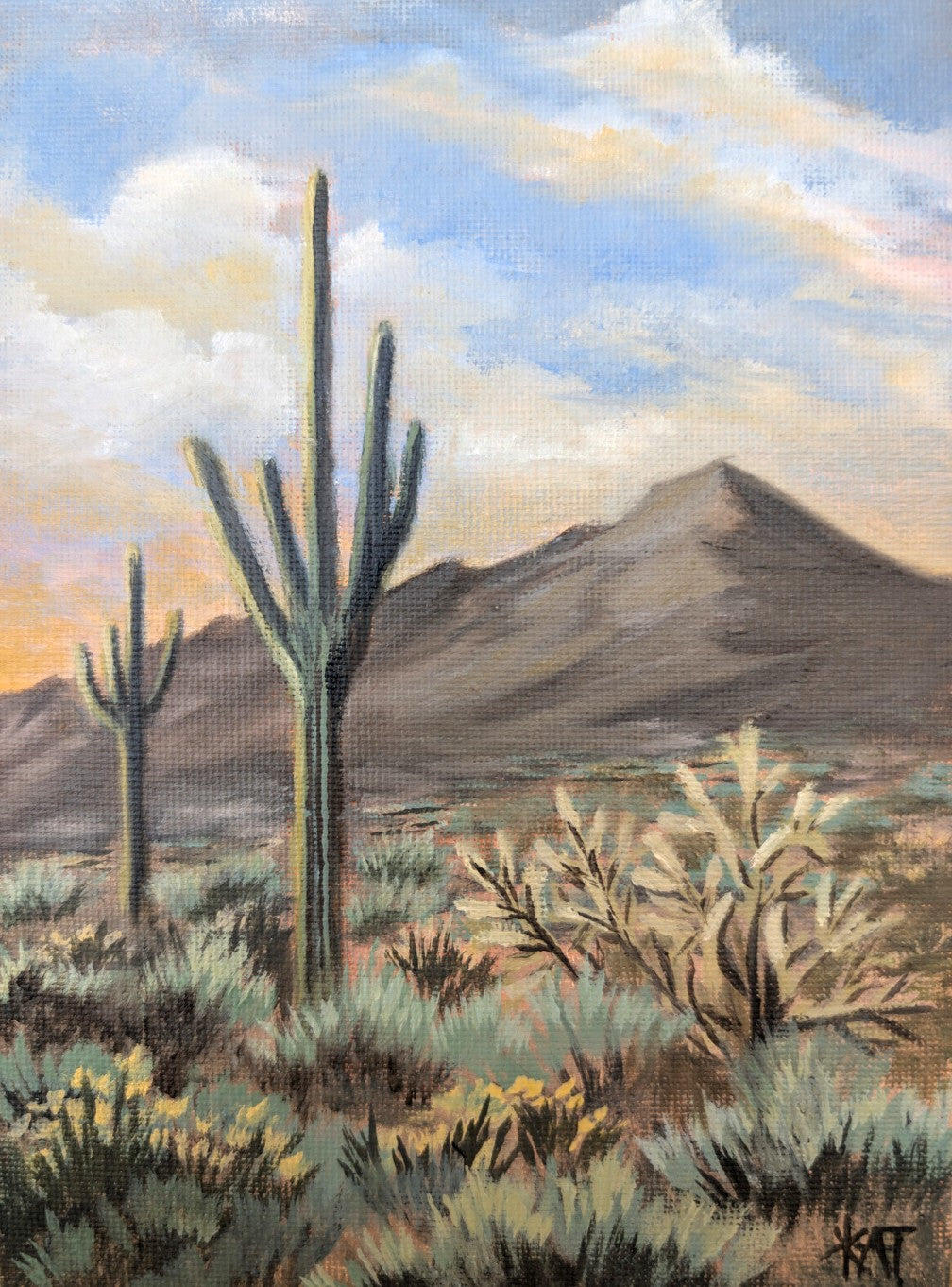 Arizona Sunset