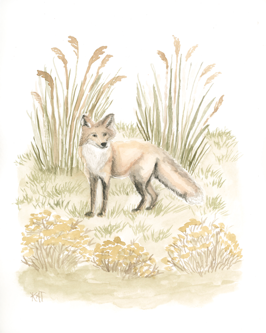 Fall Red Fox