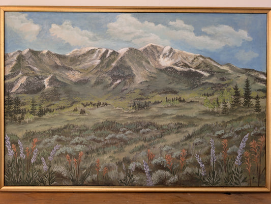 Spring at Bonanza Flats, Park City Utah