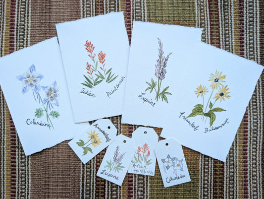 Utah Wildflowers- Midway Watercolor Class