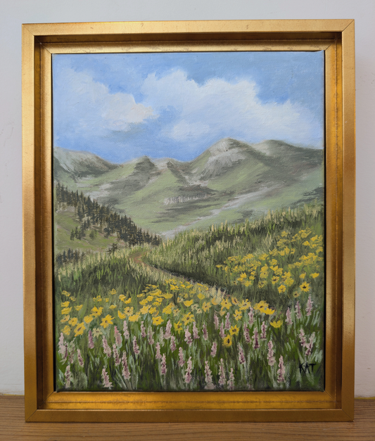 Everyone's Favorite Wild Flowers, Albion Basin Utah